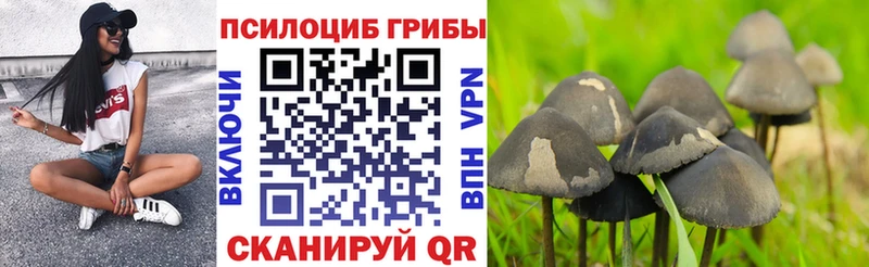 наркошоп  Камень-на-Оби  Галлюциногенные грибы мухоморы 